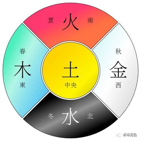 屬龍五行|【五行龍】龍的五行屬什麼？《不可不知的五行龍招財。